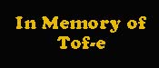 In Memory of Tof-e